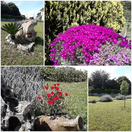 Bene Bennios Iun F1441 Bed & Breakfast Nuoro (Sardinia)