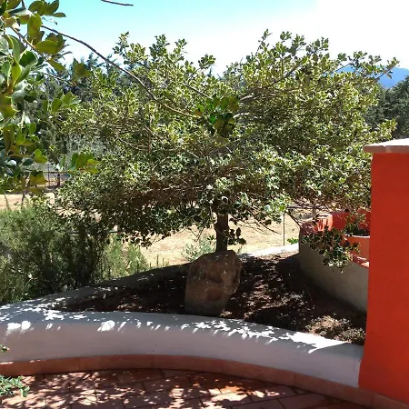 Bed & Breakfast Bene Bennios Iun F1441 Nuoro (Sardinia)
