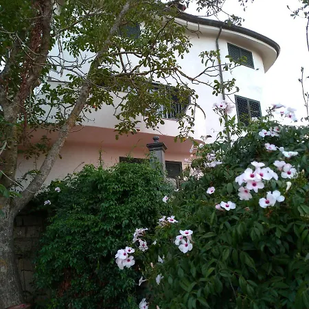 Bene Bennios Iun F1441 ベッド・アンド・ブレックファスト *