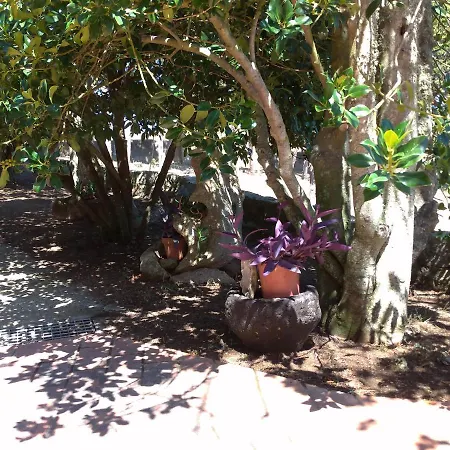 Bene Bennios Iun F1441 Bed & Breakfast