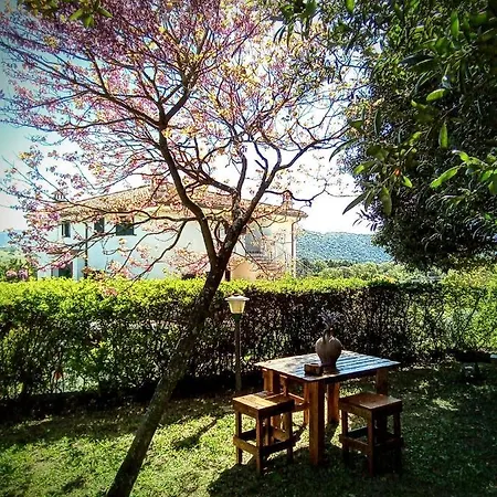 Bene Bennios Iun F1441 *