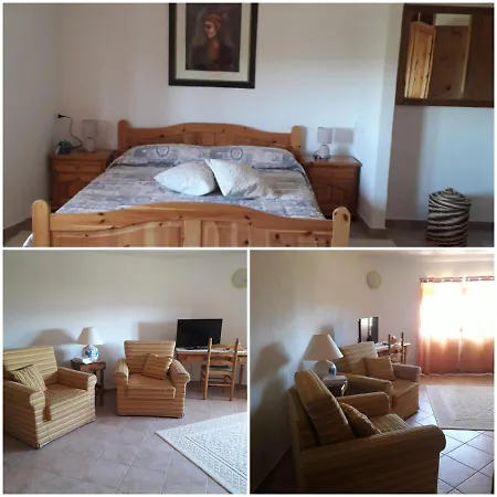 Bene Bennios Iun F1441 *