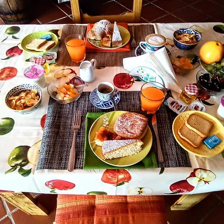 Bene Bennios Iun F1441 *