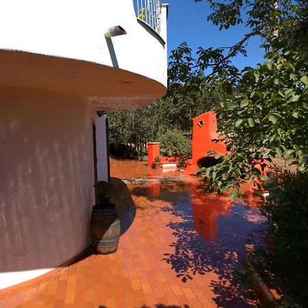 Bene Bennios Iun F1441