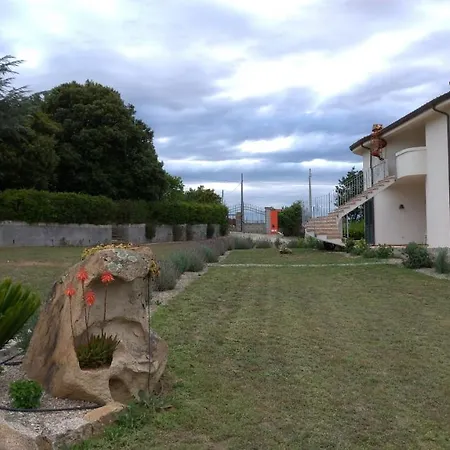 Bene Bennios Iun F1441 *