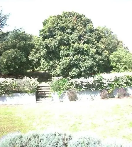 Bene Bennios Iun F1441 Nuoro (Sardinia)